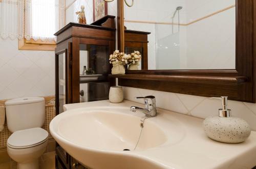 巴尔德利纳雷斯Casa Beatriz Valdelinares的一间带水槽、卫生间和镜子的浴室