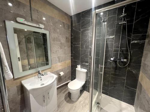 科尔切斯特Luxury Suite in Colchester Town Centre By Station的浴室配有卫生间、盥洗盆和淋浴。
