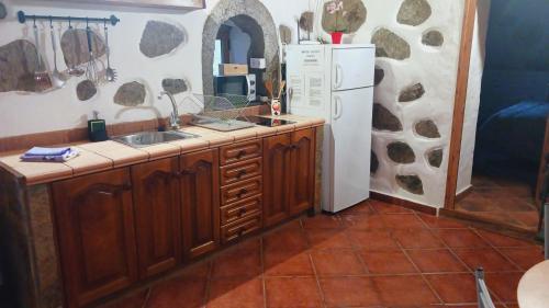 克鲁兹·德·特赫达Casita el Parral的厨房配有水槽和冰箱