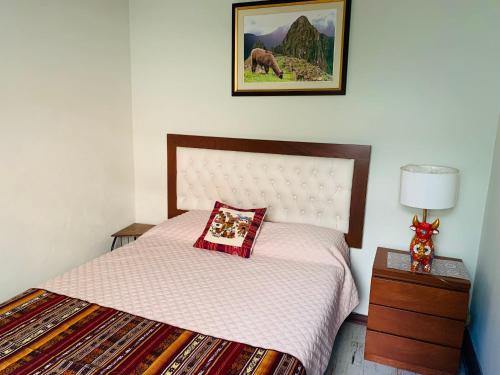 利马Peruvian House - Miraflores的一间卧室配有一张带枕头的床