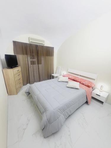 韦尔切利Casa Veronica的白色卧室设有一张大床和电视。