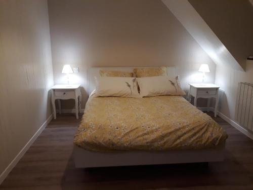FeingsComme à la maison prés des châteaux de la Loire的一间卧室配有一张床、两个床头柜和两盏灯。