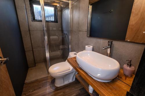 马坦萨斯Quadro Matanzas cabañas的浴室配有卫生间、盥洗盆和淋浴。