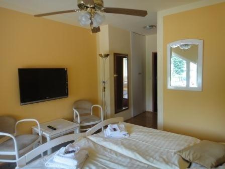 奥斯拉瓦河畔纳梅什季摩纳哥酒店的一间卧室配有一张床和一台平面电视