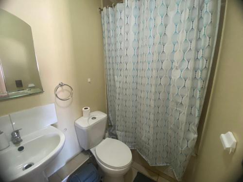 库里科Apartamento centrico的浴室配有卫生间、盥洗盆和淋浴。