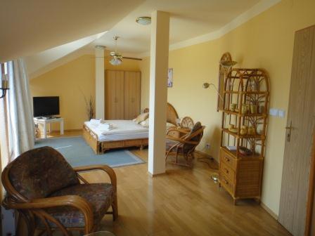 奥斯拉瓦河畔纳梅什季摩纳哥酒店的一间带一张床的客厅和一间带椅子的房间