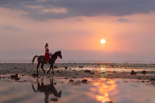 吉利特拉旺安Kardia Resort Gili Trawangan A Pramana Experience的一位在海滩上骑马的女人