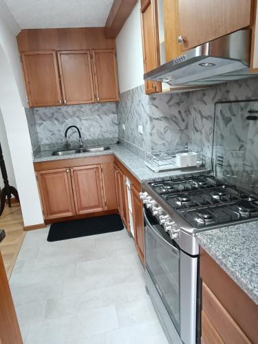 昆卡Elegante suite II的厨房配有炉灶和水槽