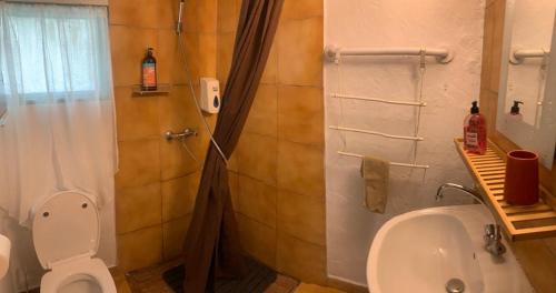 Bras-PanonLE MEDINILLA的带淋浴、卫生间和盥洗盆的浴室