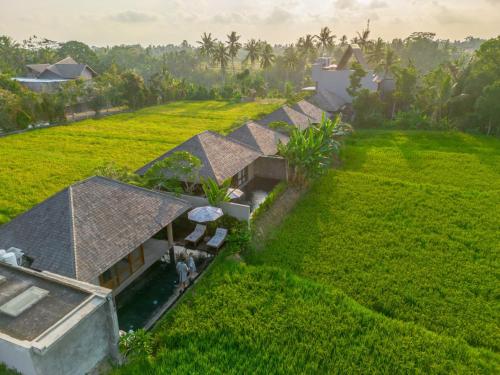 乌布Kaamala Resort Ubud by Ini Vie Hospitality的绿色田野中房屋的空中景观