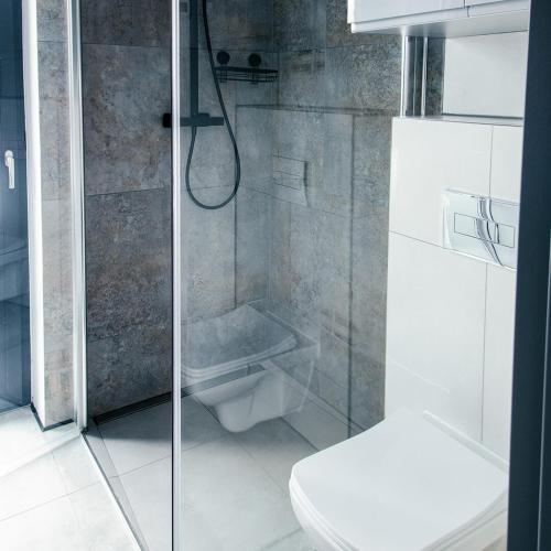 Domek PodMaglem的浴室设有玻璃淋浴间和卫生间