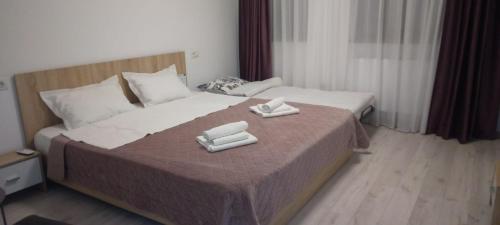NiculiţelAgropensiunea DAVID SI MARIA的酒店客房,配有带两条毛巾的床