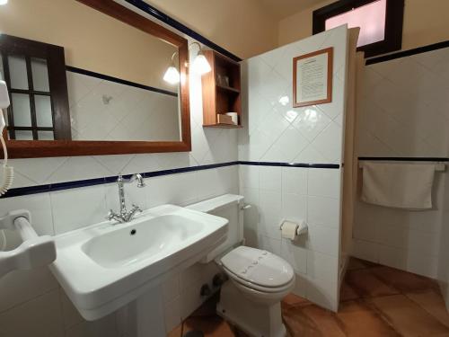 巴列埃尔莫索Tamahuche Hotel Rural的一间带水槽、卫生间和镜子的浴室