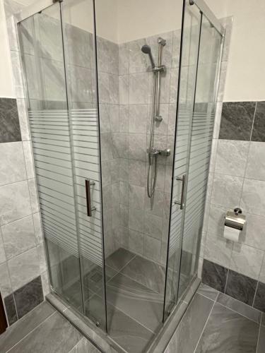 科希策Apartmány Loky的浴室里设有玻璃门淋浴