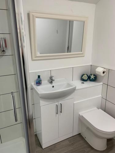 赫尔PLATFORM Avenues Apartment 2的一间带水槽、卫生间和镜子的浴室