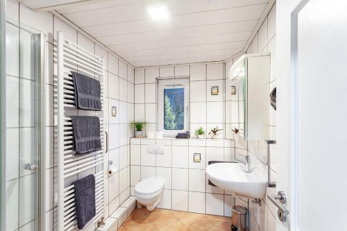 施马伦贝格Baumgärtner的白色的浴室设有水槽和卫生间。