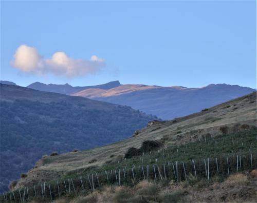 卡皮雷拉阿尔法加安东尼乡村酒店的山丘上以山为背景的围栏
