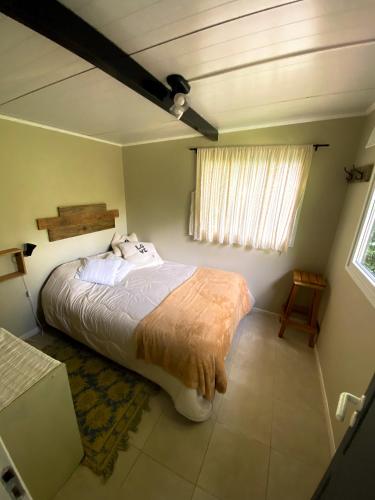 圣卡洛斯-德巴里洛切Amapola Tiny House的一间带一张大床的卧室,位于带窗户的房间内