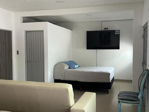 阿劳卡COOL HOUSE 24Horas的客房设有床、电视和沙发。