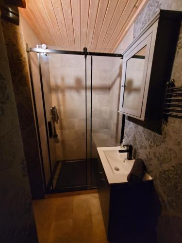 Klein KlessowNEU Luxuriöses Tinyhaus Ferienhaus FREYR einmalig in Lübbenau的带淋浴和盥洗盆的浴室