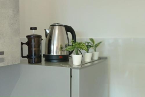 罗马Appartamento Le Vigne di Roma的厨房柜台配有咖啡壶和植物