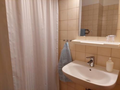法伦Birgittagården的一间带水槽和淋浴帘的浴室