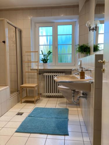 因戈尔施塔特FAWAY Charmante Atmosphäre - Parken - Netflix的一间带水槽和卫生间的浴室以及窗户。