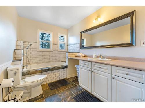 DeltaPrivate 4 bed/3 bath Pet Friendly Home on 2 acres的浴室配有卫生间、盥洗盆和浴缸。