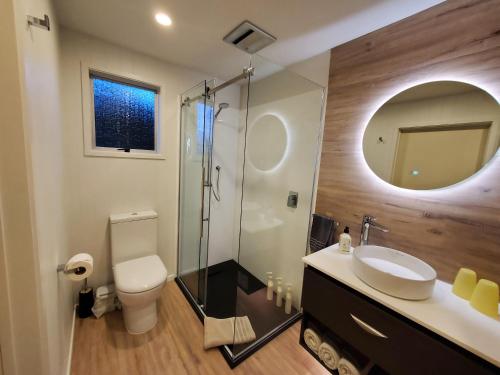 瓦纳卡巅峰运动木屋酒店的一间带卫生间、水槽和镜子的浴室