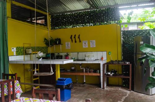 奎波斯城The Jungle Container的一间设有黄色墙壁和厨房的客房
