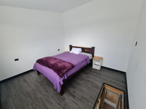 圣何塞Casa Murillo的一间卧室配有一张带紫色床单和镜子的床