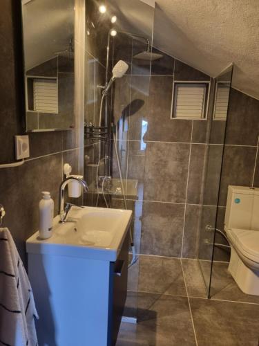 凯麦尔Villa Xenia的浴室配有盥洗盆、淋浴和卫生间