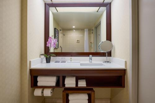 洛杉矶洛杉矶机场万丽酒店的一间带水槽和大镜子的浴室