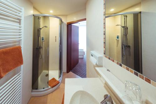 Neusorg桑恩塔尔酒店的带淋浴和盥洗盆的浴室