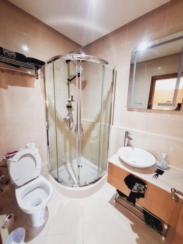 艾西拉Marina golf studio的带淋浴、卫生间和盥洗盆的浴室