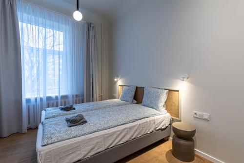 里加Dandelion Apartments Ģertrūdes的一间卧室设有一张床和一个大窗户
