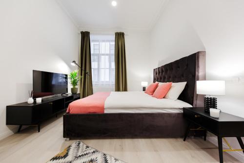 里加RIGAAPARTMENT ELIZABETES 22 Self-Service Aparthotel的一间卧室配有一张大床和一台平面电视