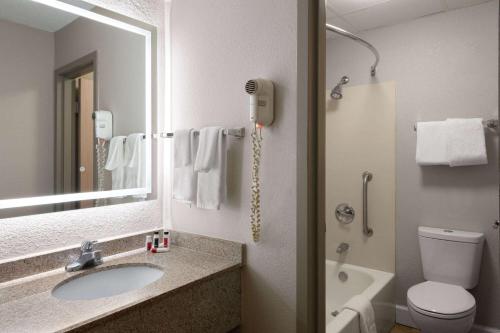 佛罗伦萨佛罗伦萨市民中心附近戴斯酒店的一间带水槽、镜子和卫生间的浴室
