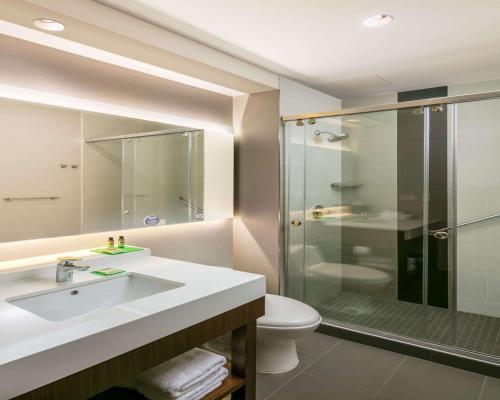 波哥大Hyatt Place Bogota Convention Center的一间带水槽、淋浴和卫生间的浴室