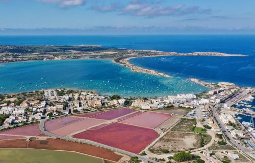 拉萨维纳Sabina Suites - Astbury Formentera的享有毗邻大海的网球场的空中景致