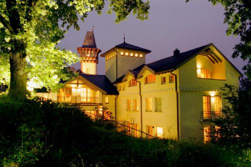 波茨坦蒙特维诺别墅酒店的一座在晚上有城堡的老房子
