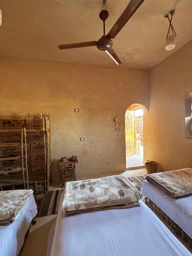 锡瓦Agpeninshal Ecolodge的一间卧室配有两张床和吊扇