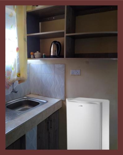 BungomaVILLA DE LEO的一间带水槽和冰箱的小厨房
