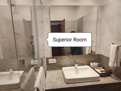 卡绍利Kasauli Resort by Piccadily的一间带水槽和镜子的浴室