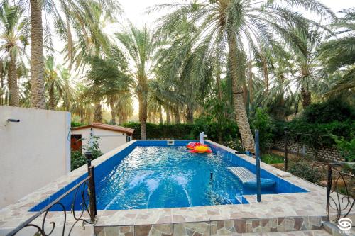 KebiliDar Barka的棕榈树庭院中带泳池面的游泳池