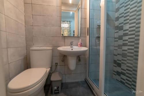 比尔古Quaint Studio apartment的浴室配有卫生间、盥洗盆和淋浴。