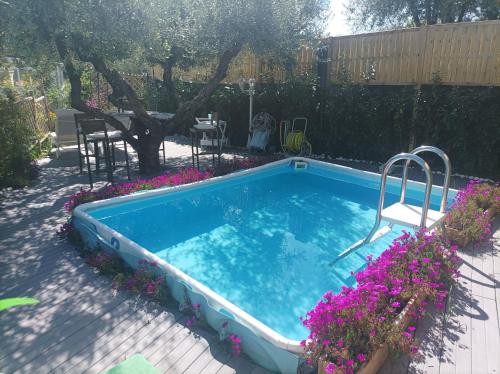 Borghesiana HomArt roof roman king的鲜花庭院中的游泳池
