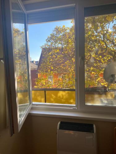 塞格德Ögünc’s Apartment的享有树景的窗户
