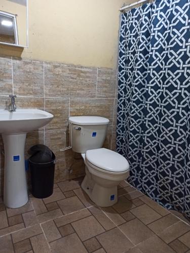 博尔坎Don Chacon Fest的浴室配有卫生间、盥洗盆和淋浴。