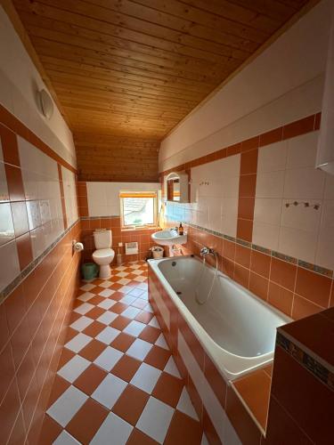DehtářeApartment Dehtáře的带浴缸、卫生间和盥洗盆的浴室